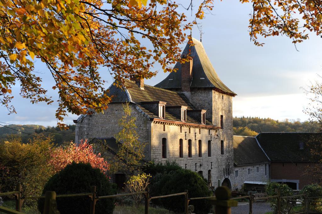 B&B Le Manoir D'Ange Ferrières Esterno foto